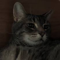 Thumbnail photo of BABY BOY #2 #2