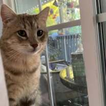 Thumbnail photo of Archer #2