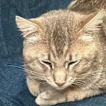 Thumbnail photo of Archer #3