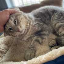 Thumbnail photo of Archer #4