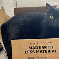 Thumbnail photo of Ila #4