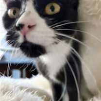 Thumbnail photo of Hope #4