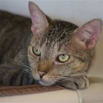 Thumbnail photo of Lil Boy #1