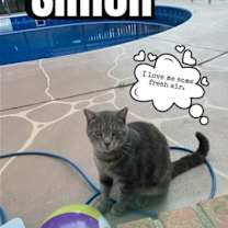 Thumbnail photo of Simon #2