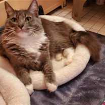 Thumbnail photo of Angel #1