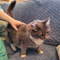 Thumbnail photo of Angel #2