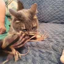 Thumbnail photo of Angel #3