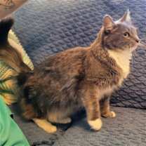 Thumbnail photo of Angel #4