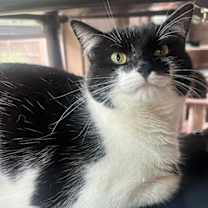 Thumbnail photo of GUMDROP #1