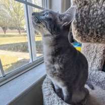 Thumbnail photo of PENNY #2
