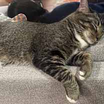 Thumbnail photo of SULLIVAN #3