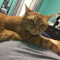 Thumbnail photo of Neb #4