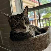Thumbnail photo of FERRIS #3