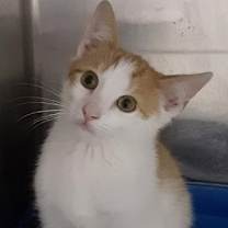 Thumbnail photo of Prince #2