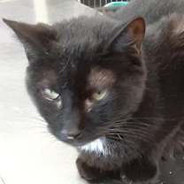 Thumbnail photo of Lisa #2