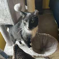 Thumbnail photo of Hershey courtesy post #3