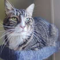 Thumbnail photo of Latte #1