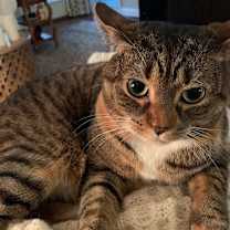 Thumbnail photo of Margaret #2