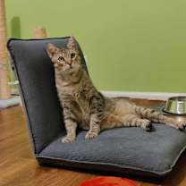 Thumbnail photo of Till #3