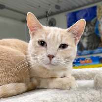 Thumbnail photo of NALA #1