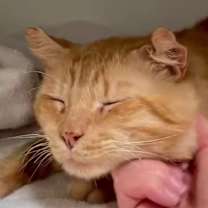 Thumbnail photo of Jack #1