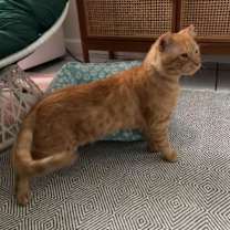 Thumbnail photo of Jack #3
