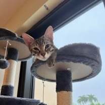 Thumbnail photo of Snickers #4