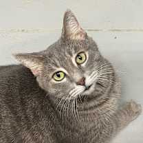 Thumbnail photo of OSCAR #1