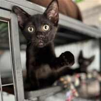 Thumbnail photo of William #1