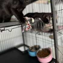 Thumbnail photo of William #2