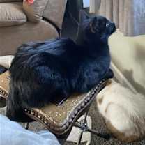 Thumbnail photo of Puddles #2
