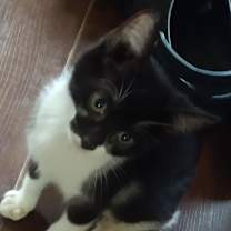 Thumbnail photo of Liddy #3