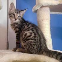 Thumbnail photo of Fred #2