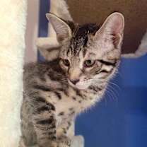 Thumbnail photo of Fred #3