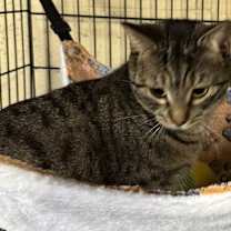 Thumbnail photo of Melinda #2