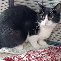 Thumbnail photo of Gloria #2