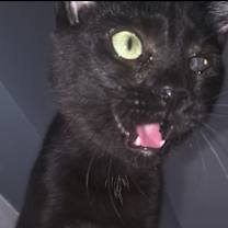 Thumbnail photo of Wavy Gravy #3