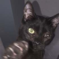 Thumbnail photo of Wavy Gravy #4