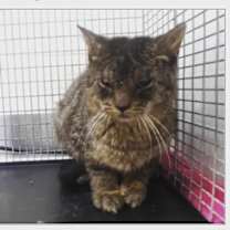 Thumbnail photo of Sprout #2