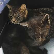 Thumbnail photo of Sprout #3