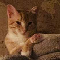 Thumbnail photo of Boris #2