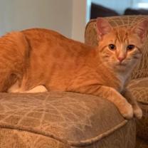 Thumbnail photo of Boris #3