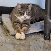 Thumbnail photo of Toast #2