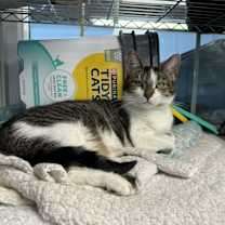 Thumbnail photo of Ruthie #2