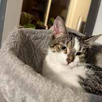 Thumbnail photo of Ruthie #3