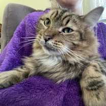 Thumbnail photo of Davina #1