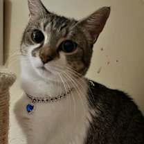 Thumbnail photo of Karma #2