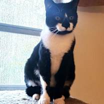 Thumbnail photo of ANGELA #2