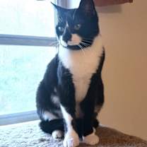 Thumbnail photo of ANGELA #3