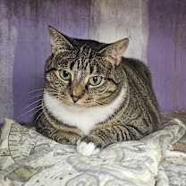 Thumbnail photo of Squeaky #1